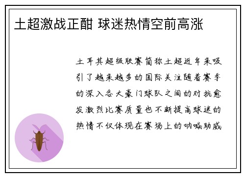 土超激战正酣 球迷热情空前高涨
